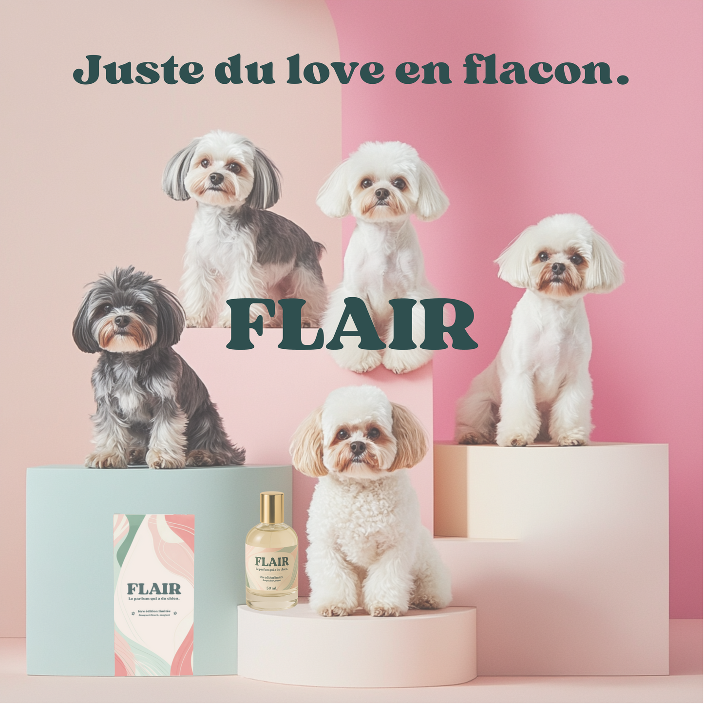 Bouquet fleuri - Édition limitée